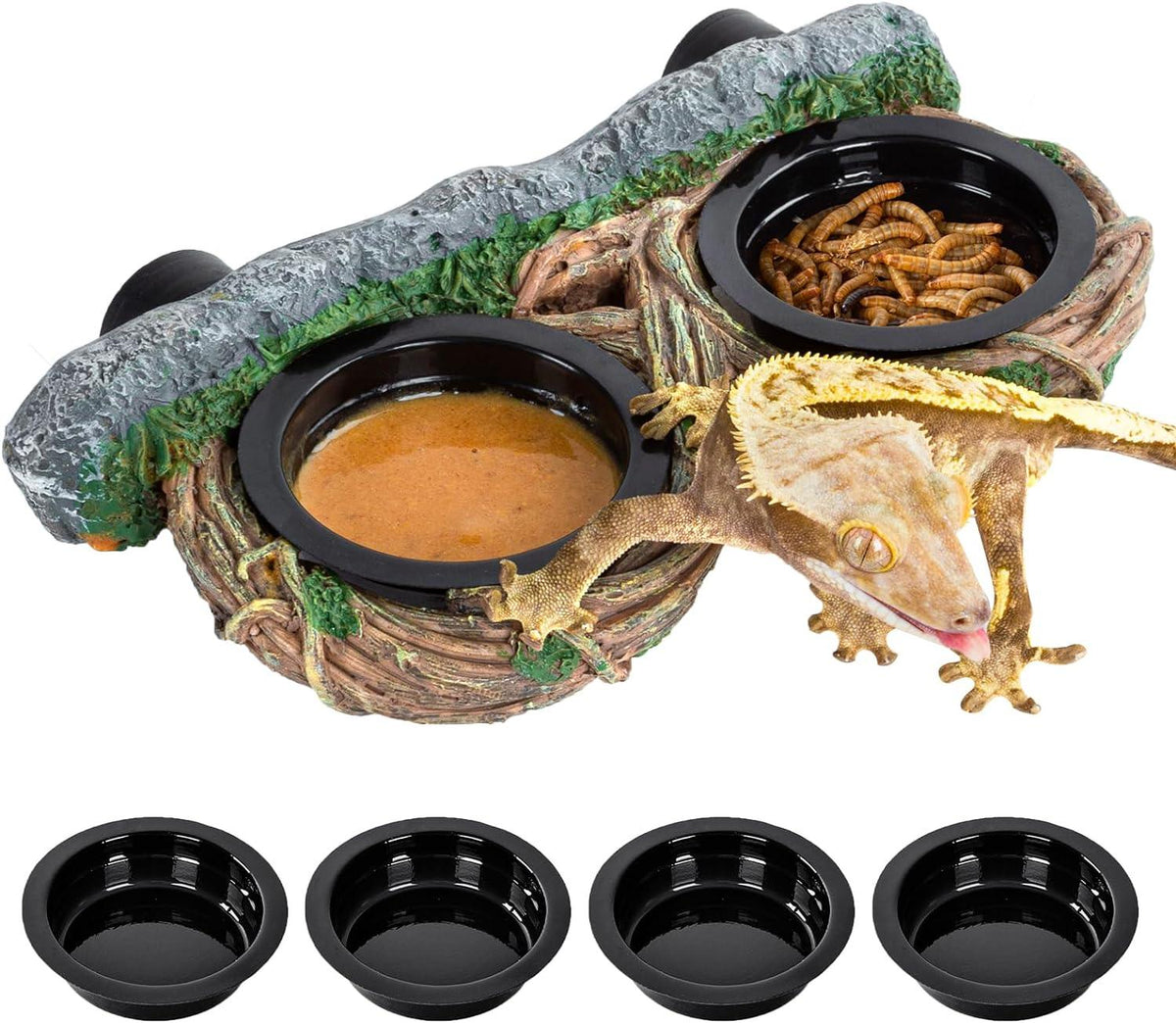 Gecko eating from dual reptile food and water feeder bowl set with decorative base and extra dishes. Main image