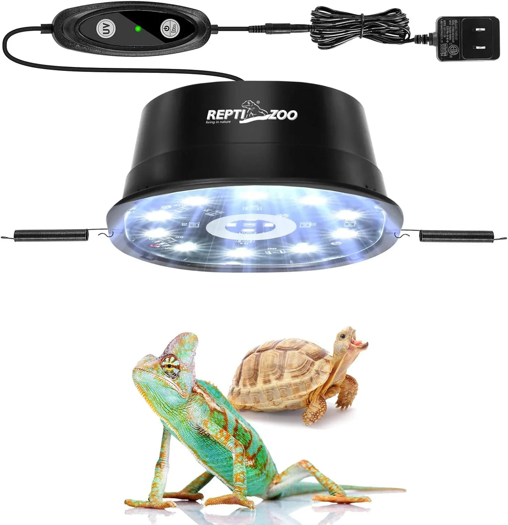UVB reptile heat lamp with control switch, chameleon and tortoise underneath