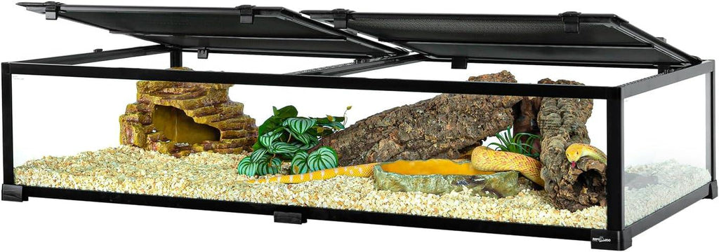 Large glass reptile terrarium with open top, bedding, artificial plants, hides, and a yellow snake