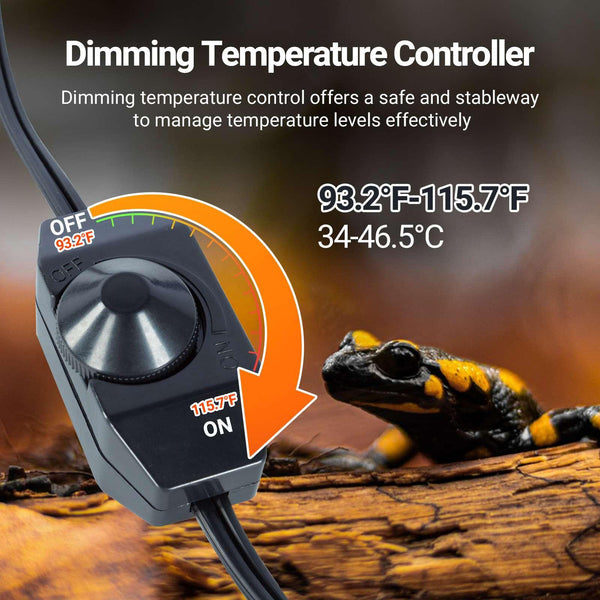 Reptile terrarium dimming temperature controller with adjustable dial, salamander nearby, temp range 93.2-115.7°F.