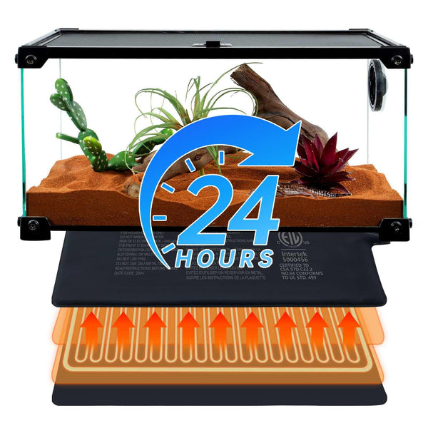 Reptile terrarium with heat mat and plants, 24-hour heating for reptiles