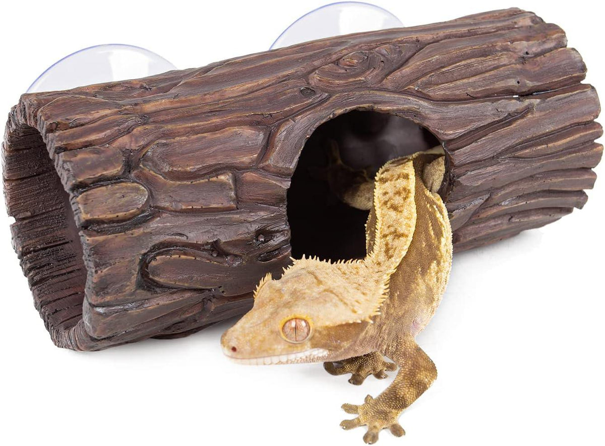 Crested gecko emerging from a reptile terrarium log hide with suction cups Main image
