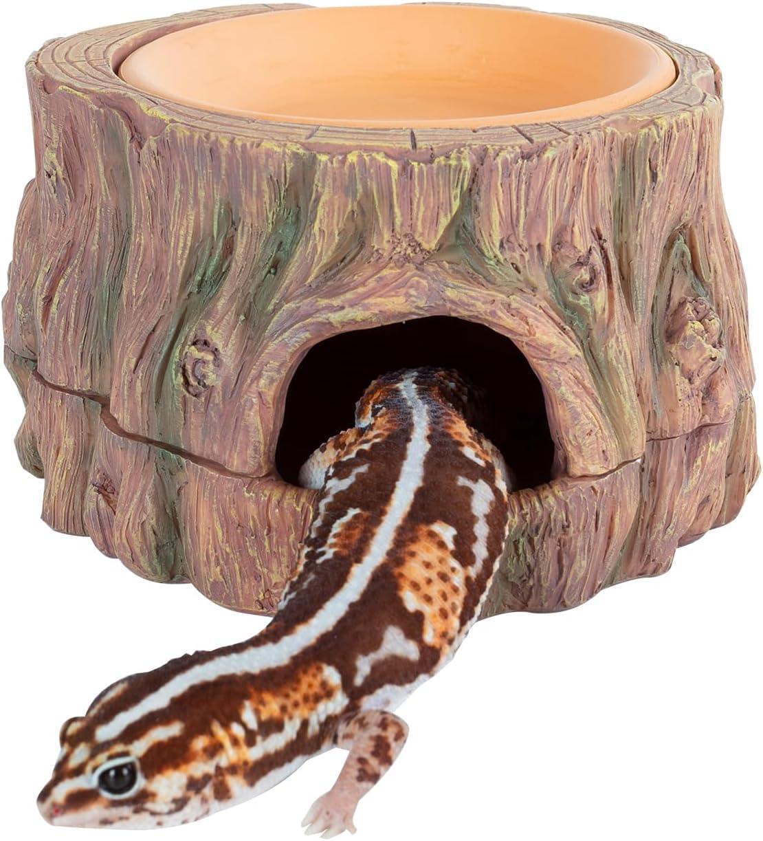 Gecko emerging from reptile hideout log in terrarium habitat Main image