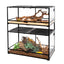 Stacked glass reptile terrariums with driftwood, plants, and natural substrate