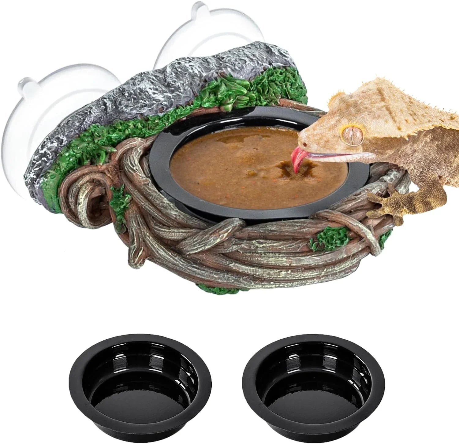 Gecko licking food from branch-style reptile food dish with suction cups and spare bowls Main image