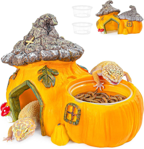 Pumpkin-shaped reptile hideout and feeder with geckos, mealworms, and plastic cups