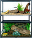 Stacked reptile terrariums with plants, logs, branches, and naturalistic decor