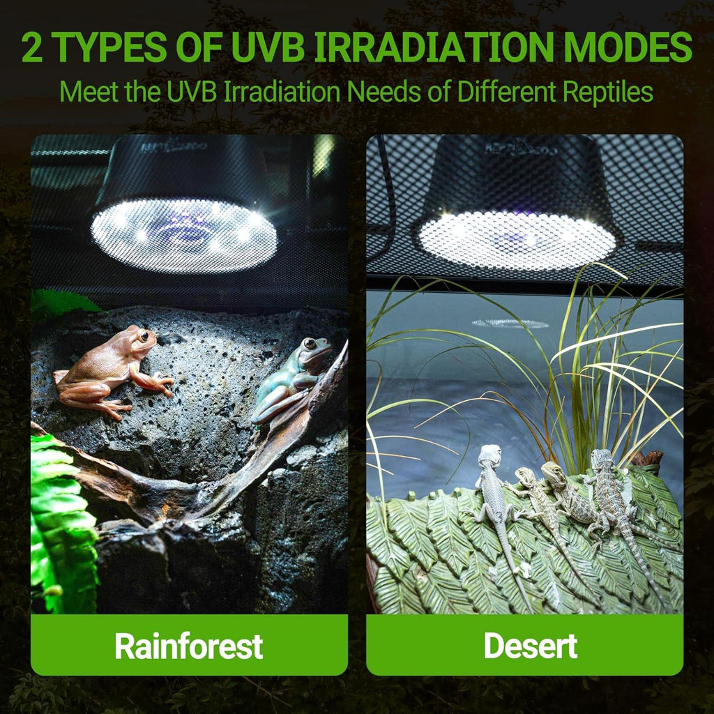 UVB reptile light showing rainforest and desert terrarium setups with frogs and lizards