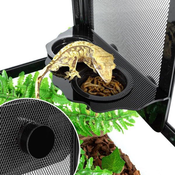 Crested gecko eating mealworms from black feeding dish mounted inside reptile terrarium