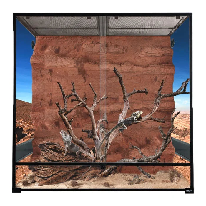Desert reptile terrarium with rock background, sand substrate, and branch for climbing