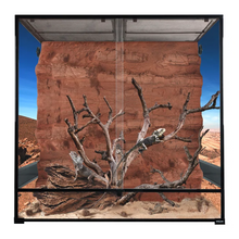 Load image into Gallery viewer, REPTI ZOO 240 Gallon 48&quot; x 24&quot;x 48&quot; Reptile Terrarium