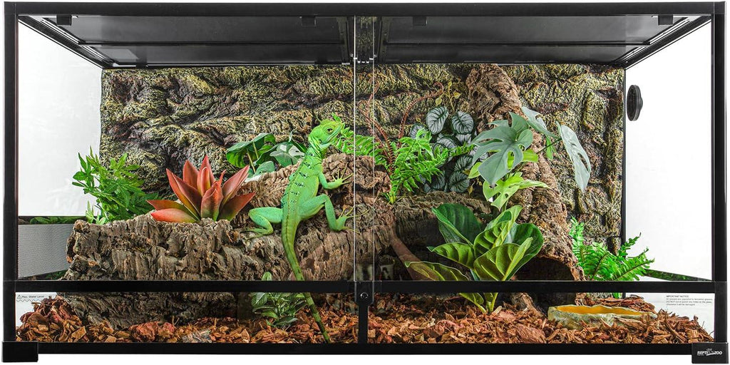 Glass reptile terrarium with green iguana, artificial plants, bark, and naturalistic decor
