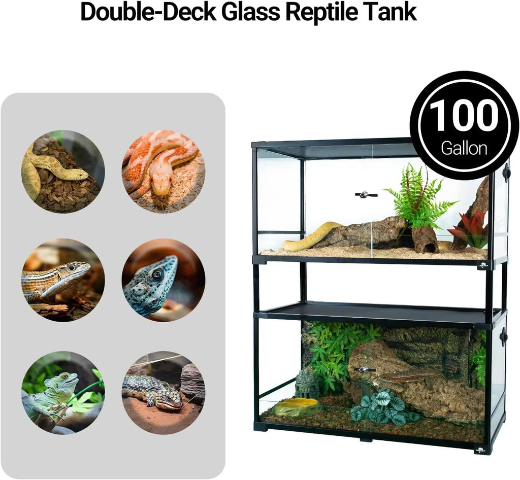 100-gallon double-deck glass reptile terrarium with snakes and lizards, ideal for reptiles