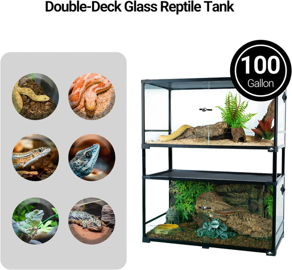 100-gallon double-deck glass reptile terrarium with snakes and lizards, ideal for reptiles