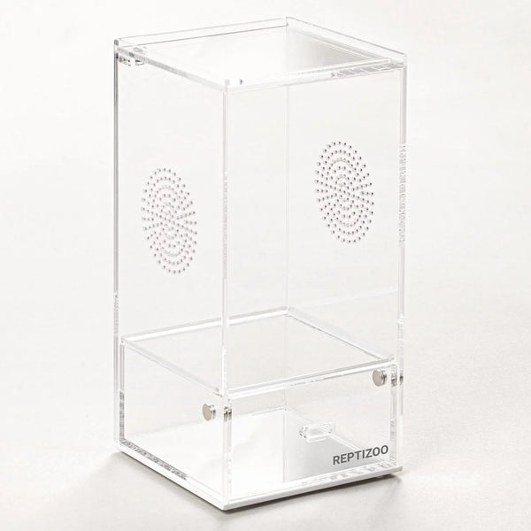 Clear acrylic reptile terrarium enclosure with ventilation holes, suitable for small reptiles