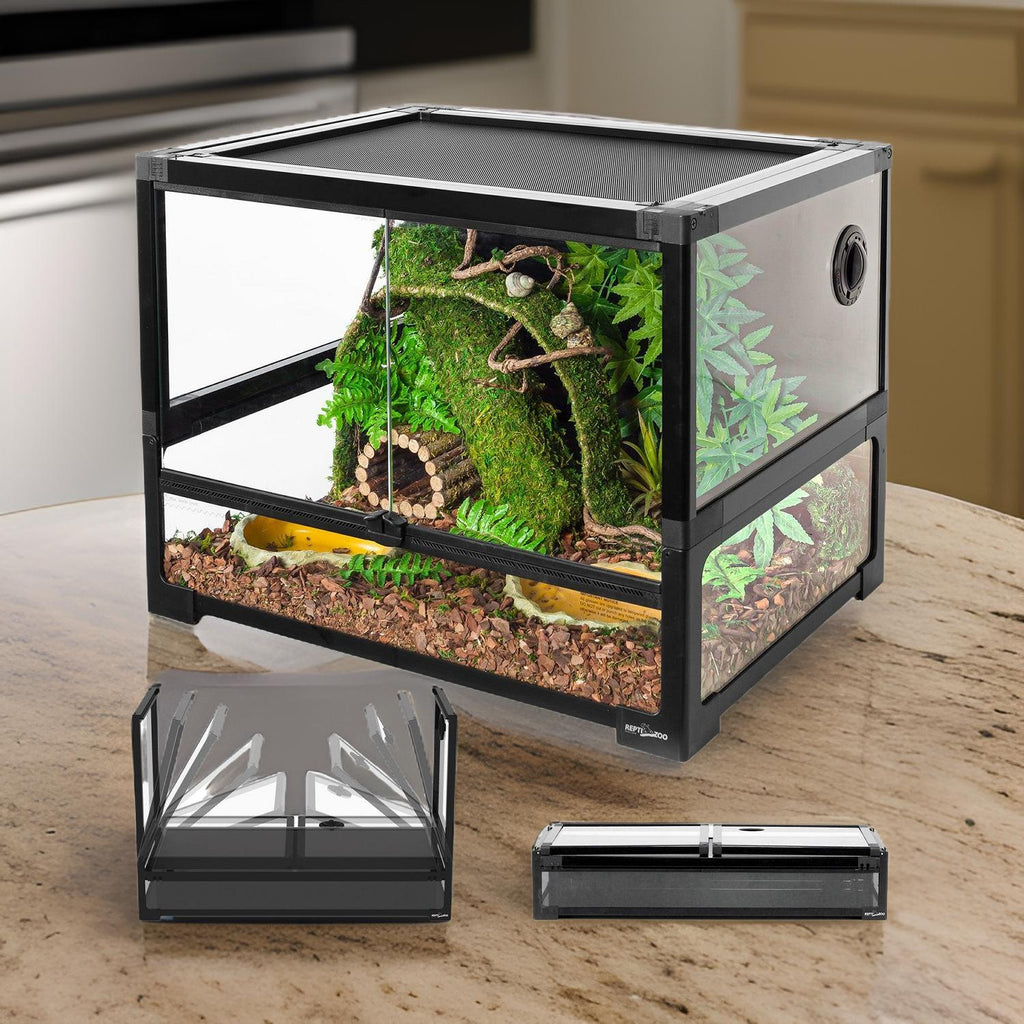 33 gallon glass reptile tank with sliding doors, mesh top, and jungle terrarium setup