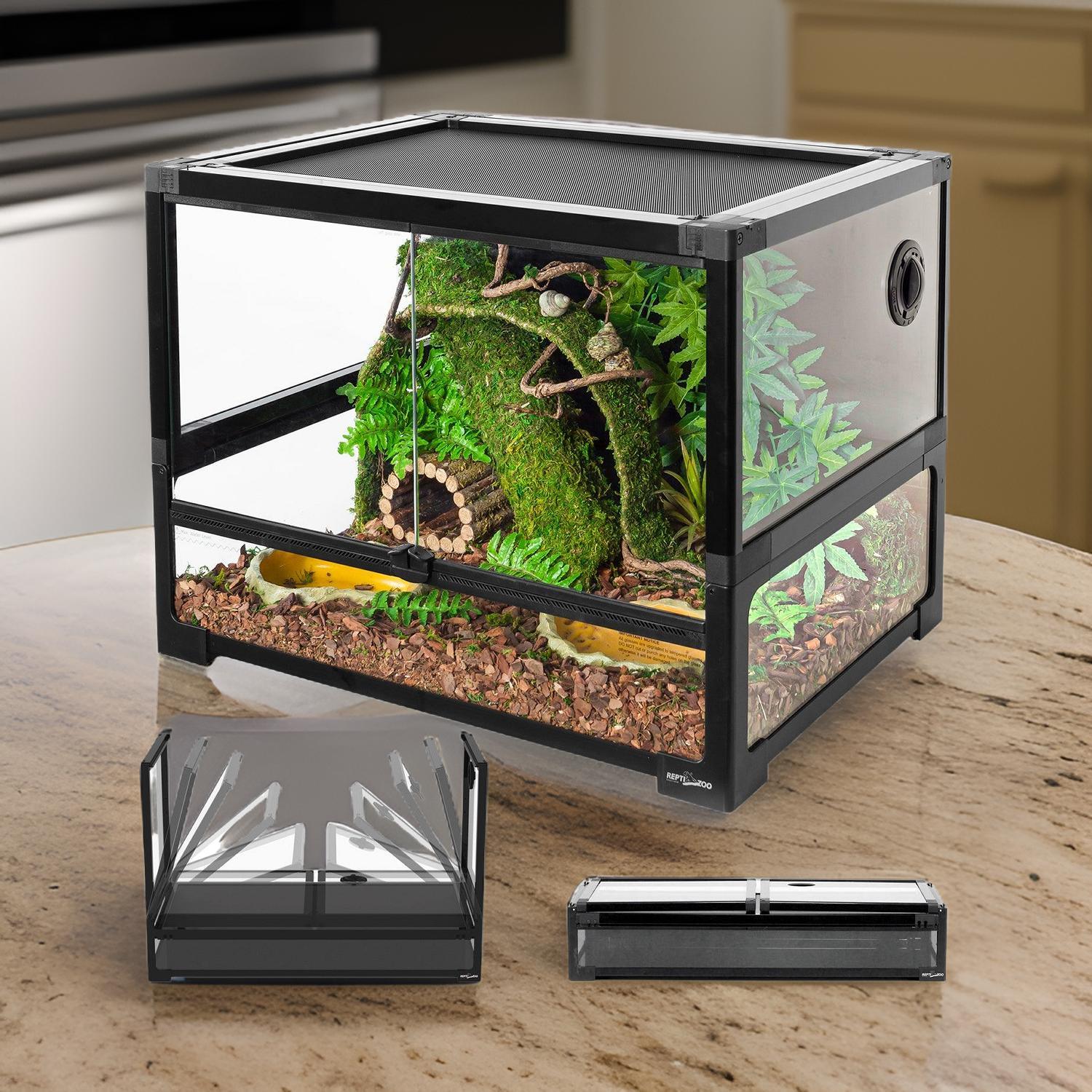 33 gallon glass reptile tank with sliding doors, mesh top, and jungle terrarium setup