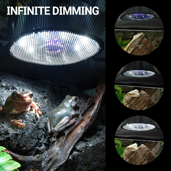 Reptile terrarium with adjustable LED dome light, frogs and gecko basking under heat lamp