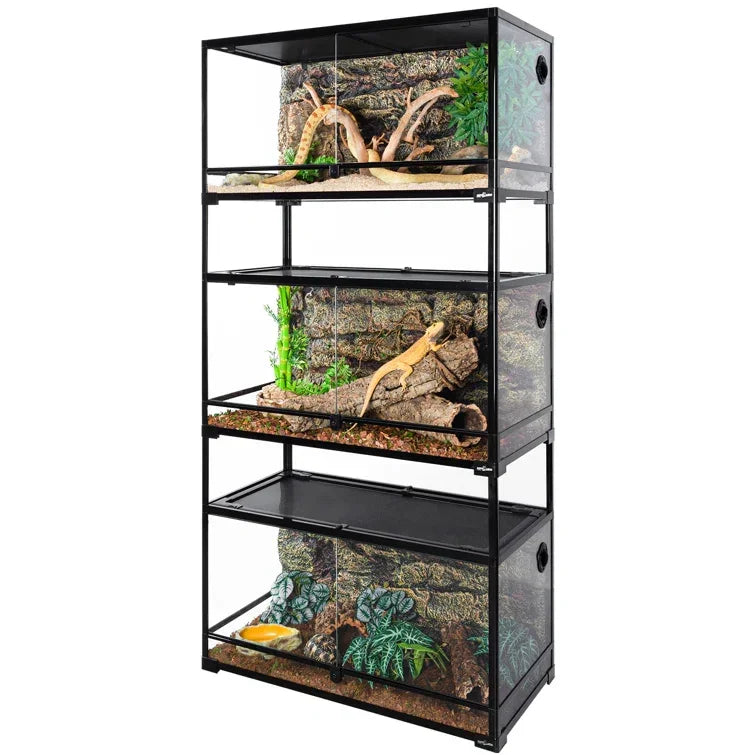 Stacked reptile terrariums with glass front, natural decor, and climbing branches Main image