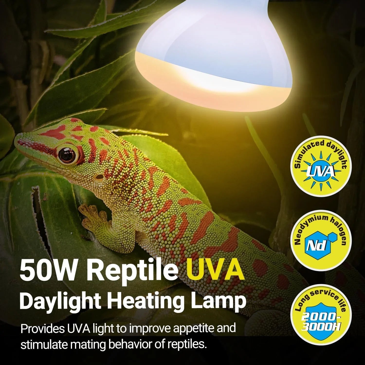 50W reptile UVA daylight heating lamp above green gecko on leaves, with product feature icons