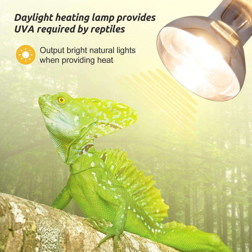 Daylight reptile heating lamp illuminating green lizard on branch in terrarium setting