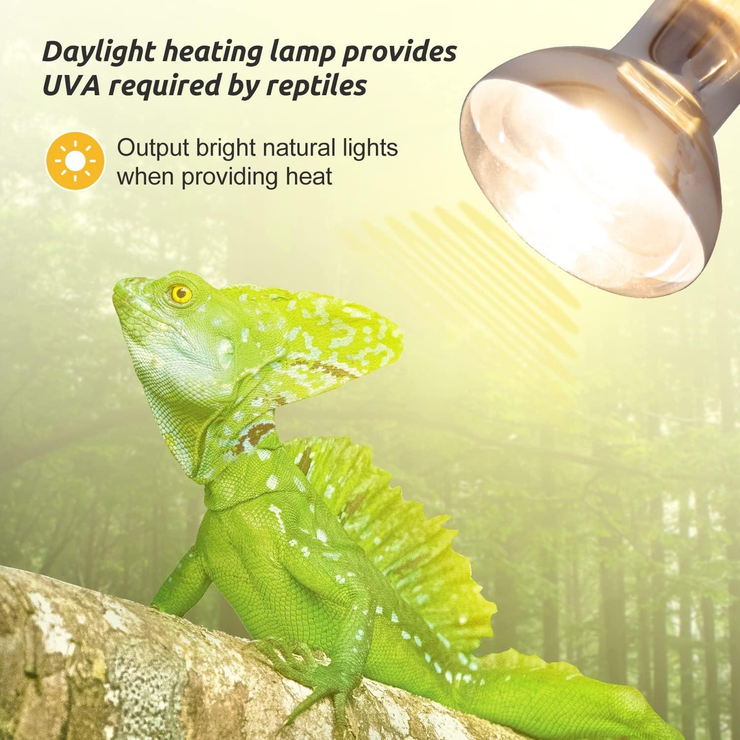 Daylight reptile heating lamp illuminating green lizard on branch in terrarium setting