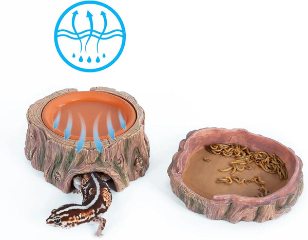 Gecko, reptile food and water bowls with ventilation, mealworms in dish, terrarium accessory