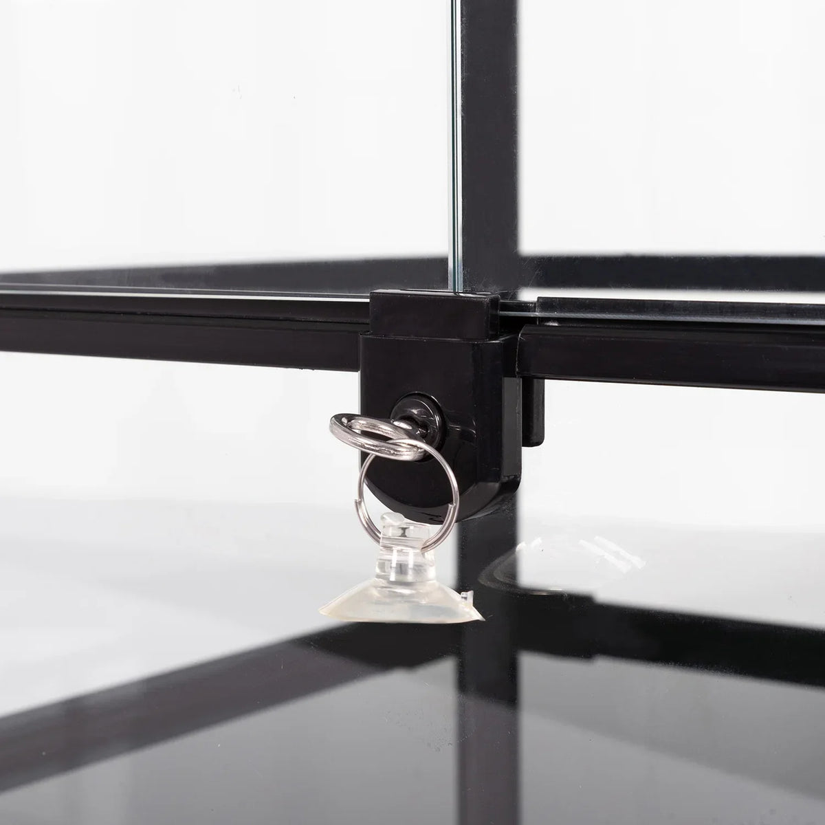 Close-up of a reptile terrarium glass corner with a locking latch and suction cup ring.