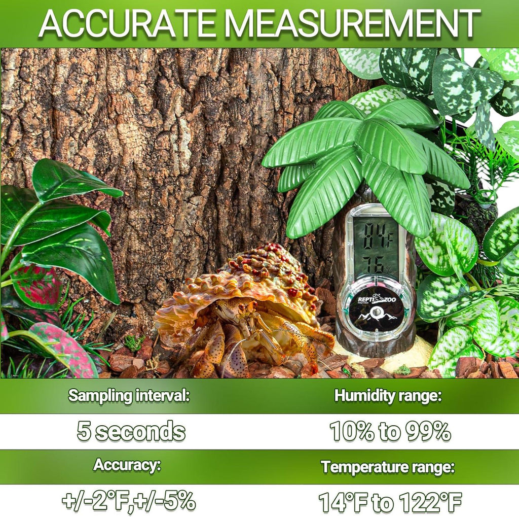 Digital reptile terrarium thermometer hygrometer in tank with hermit crab and plants