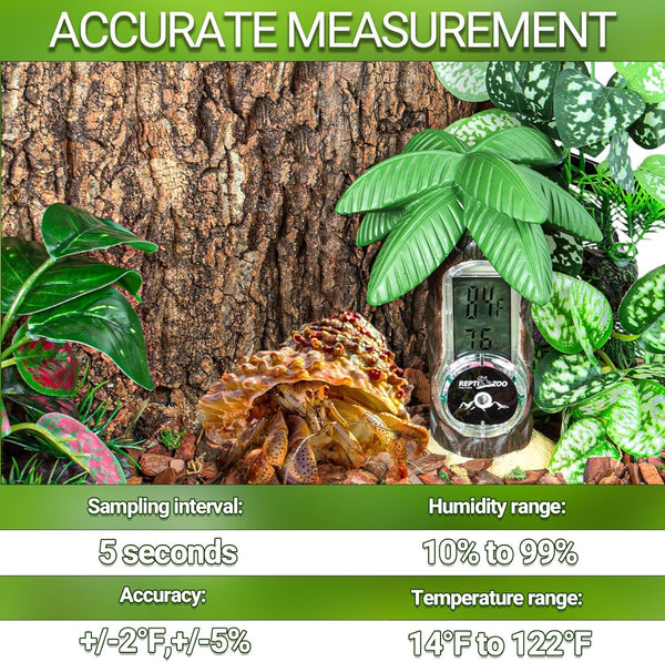 Digital reptile terrarium thermometer hygrometer in tank with hermit crab and plants