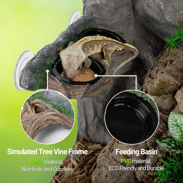 Crested gecko eating from a dual feeding basin on a simulated tree vine frame for reptile terrariums