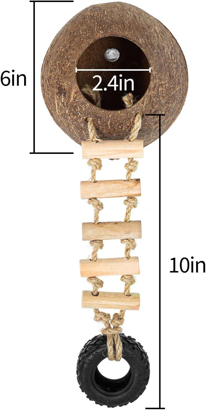 Coconut shell reptile hide with ladder, tire swing, and measurements for terrarium decor