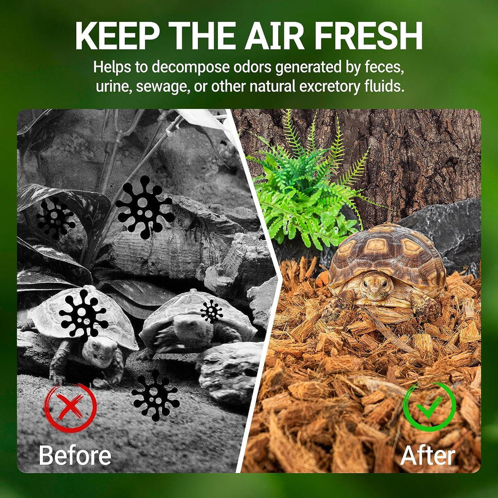Reptile terrarium before and after cleaning, featuring tortoises and fresh substrate.