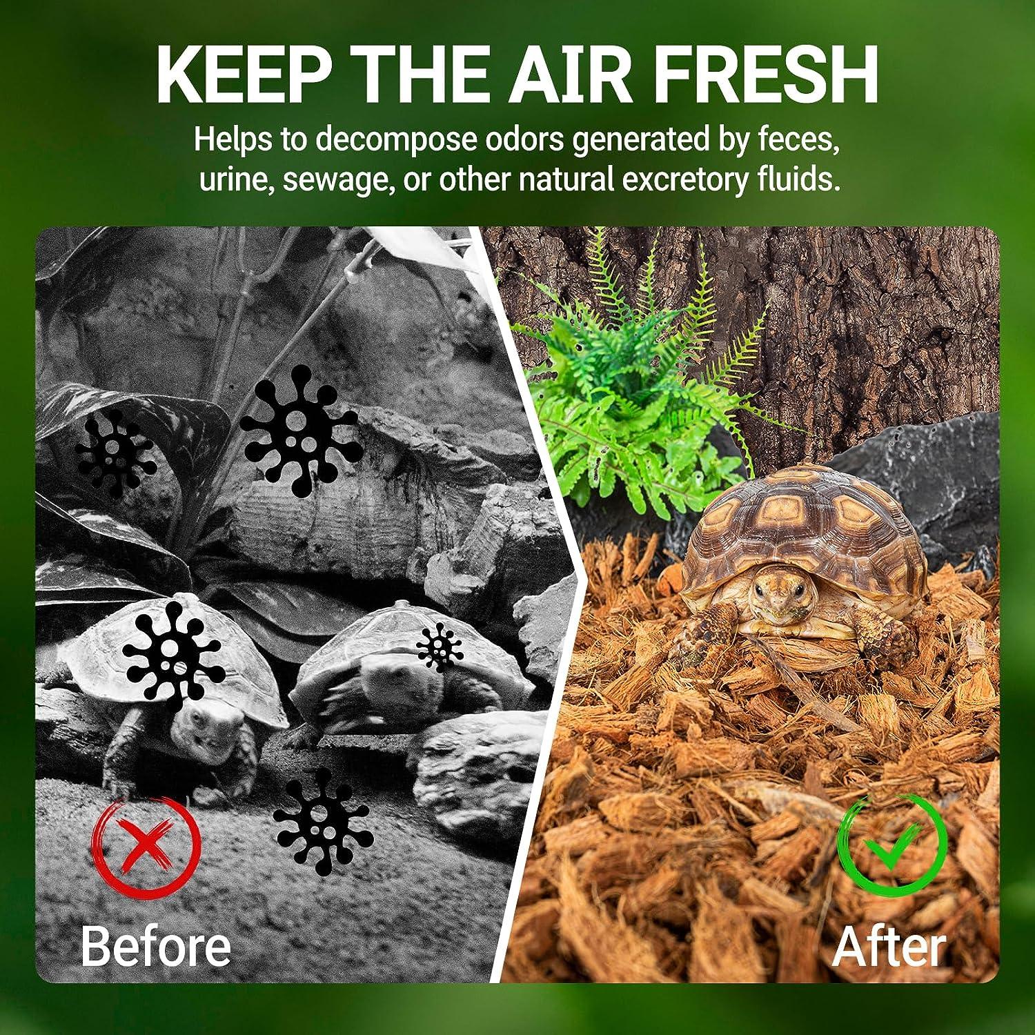 Reptile terrarium before and after cleaning, featuring tortoises and fresh substrate.