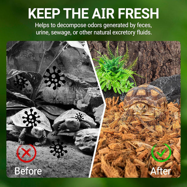 Reptile terrarium before and after cleaning, featuring tortoises and fresh substrate.