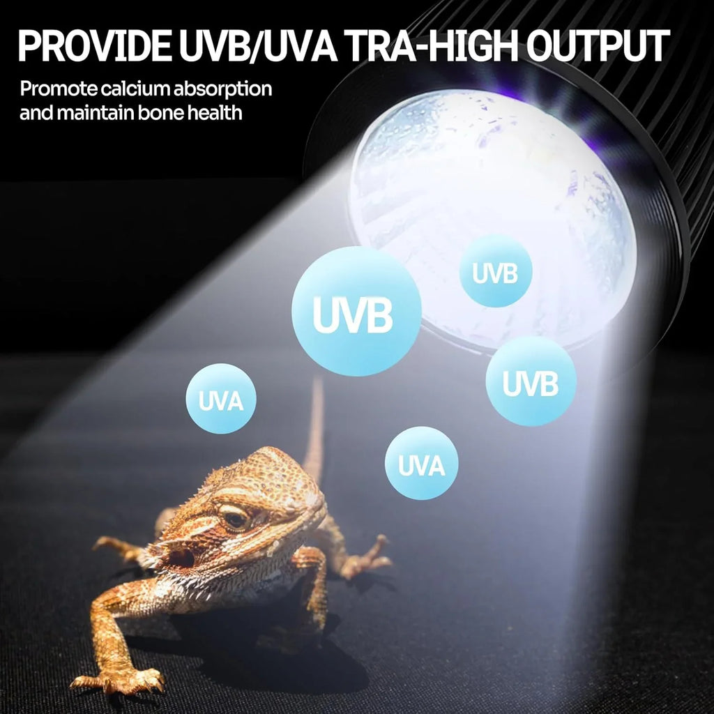 Bearded dragon basking under UVB UVA reptile heating lamp for terrarium use