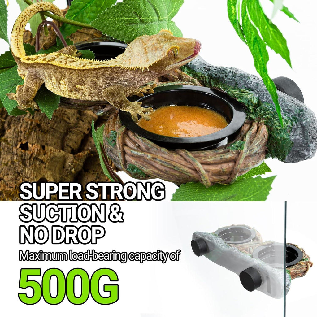 Reptile food and water dish with strong suction cups, gecko eating in terrarium setup