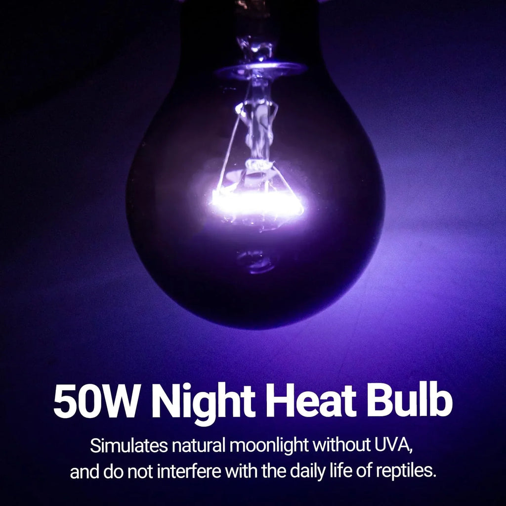 50W night heat bulb glowing purple, ideal for reptile terrariums, simulates moonlight.