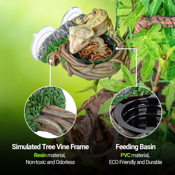Reptile on simulated tree vine frame with feeding basin, ideal for terrarium habitats.