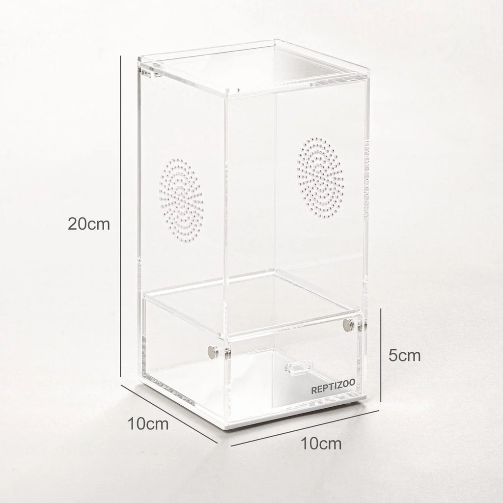 Clear acrylic reptile terrarium box with ventilation holes, 20x10x10cm, side door, measured dimensions visible.
