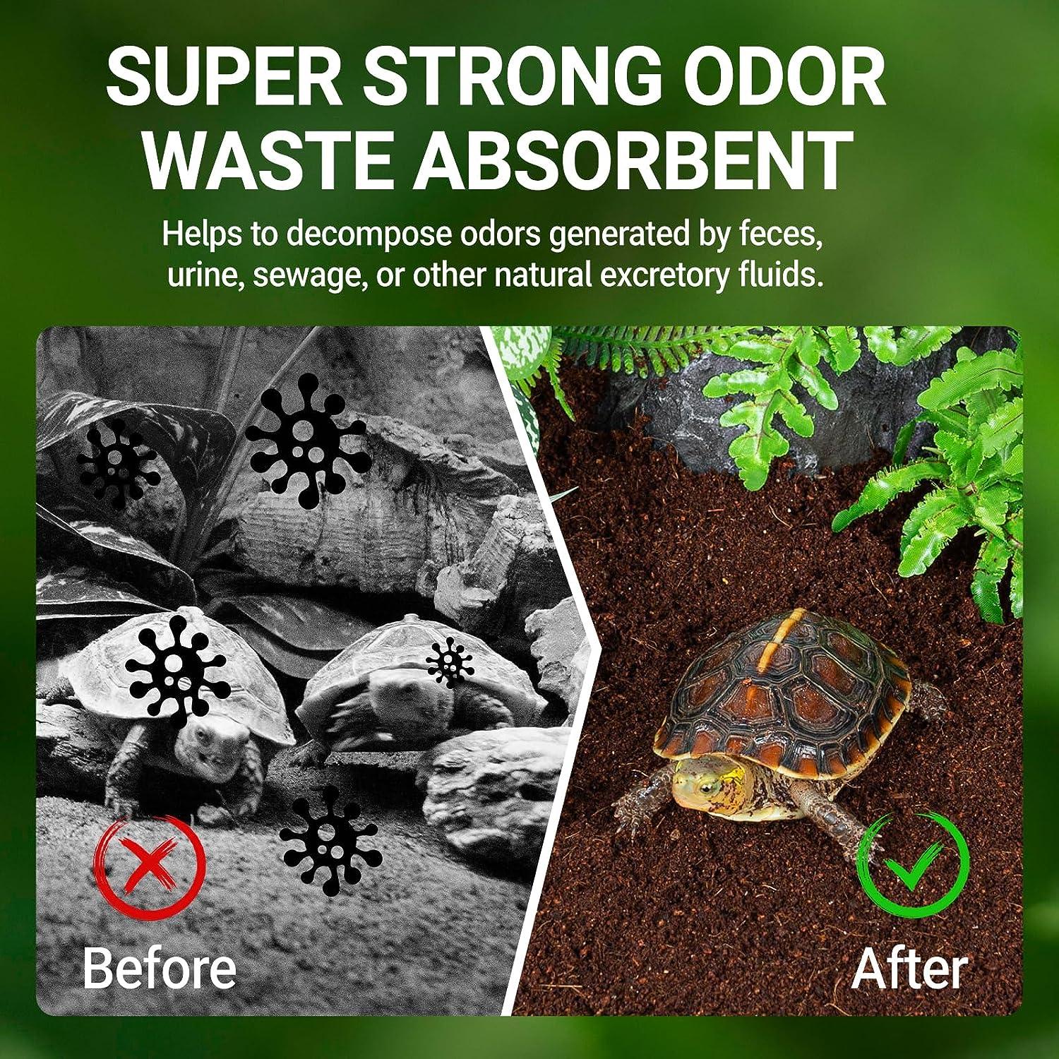 Tortoise terrarium before and after using odor waste absorbent, showing improved cleanliness and plant decor.
