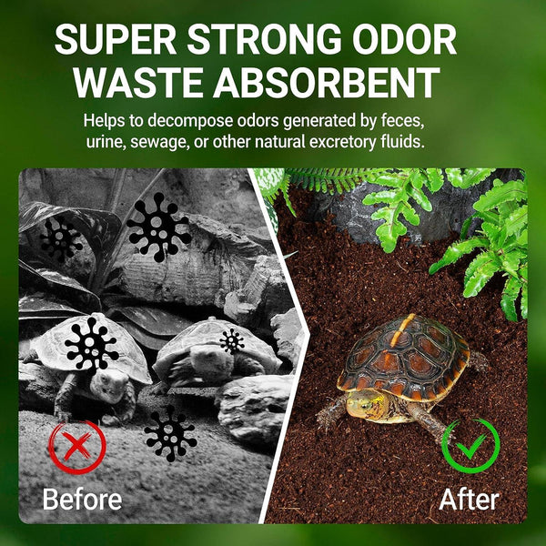 Tortoise terrarium before and after using odor waste absorbent, showing improved cleanliness and plant decor.