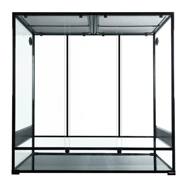 48x24x48 glass reptile terrarium with black frame and mesh top, ideal for lizards or snakes