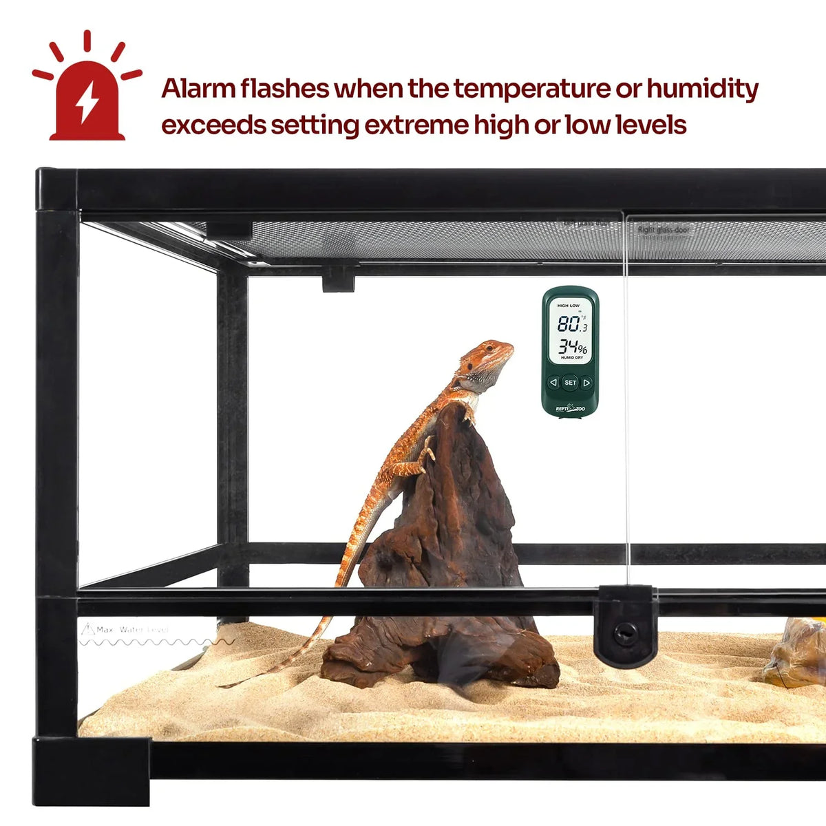 Bearded dragon on rock in glass reptile terrarium with digital thermometer and hygrometer display.