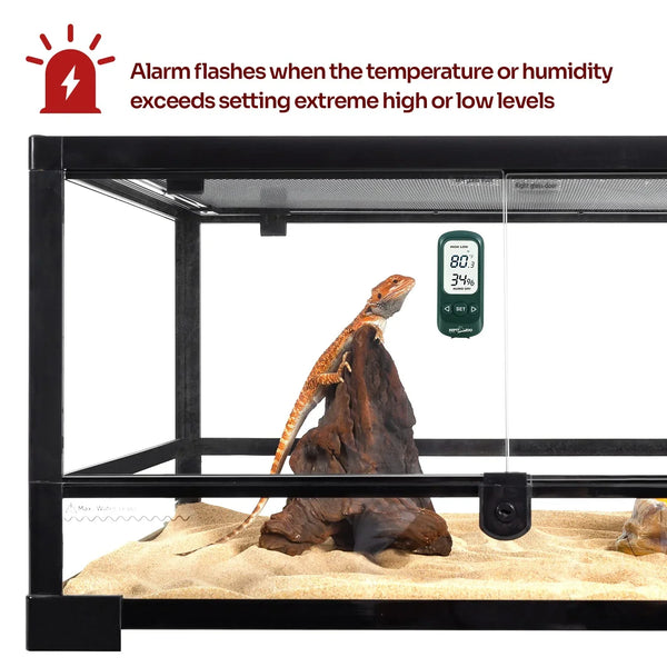Bearded dragon on rock in glass reptile terrarium with digital thermometer and hygrometer display.