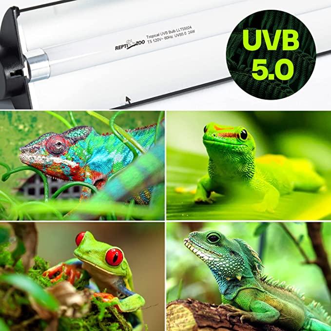 UVB 5.0 reptile light bulb with images of colorful reptiles and amphibians