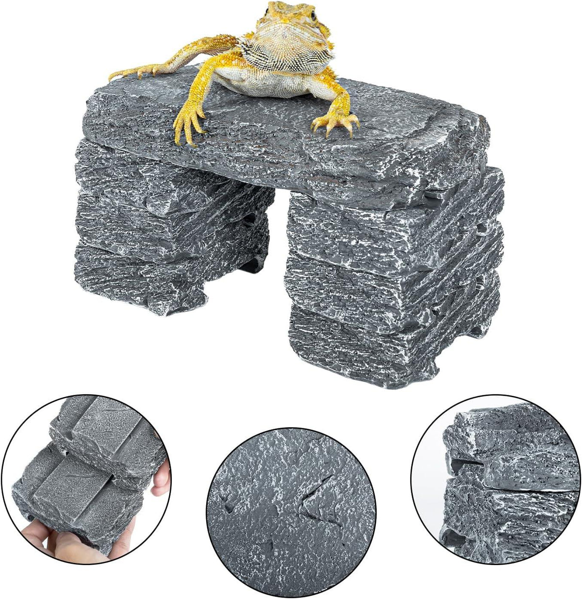 Bearded dragon on artificial stone reptile basking platform with textured details