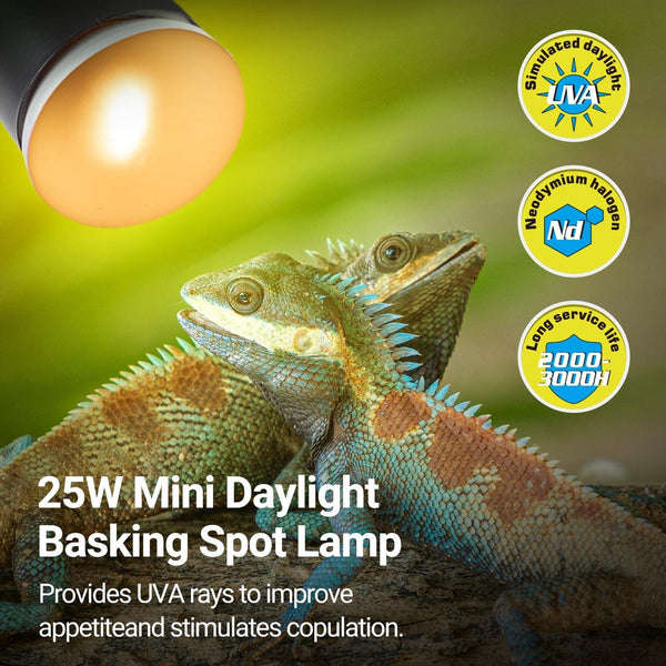 Reptile basking under 25W mini daylight spot lamp with UVA rays and long-life neodymium halogen.