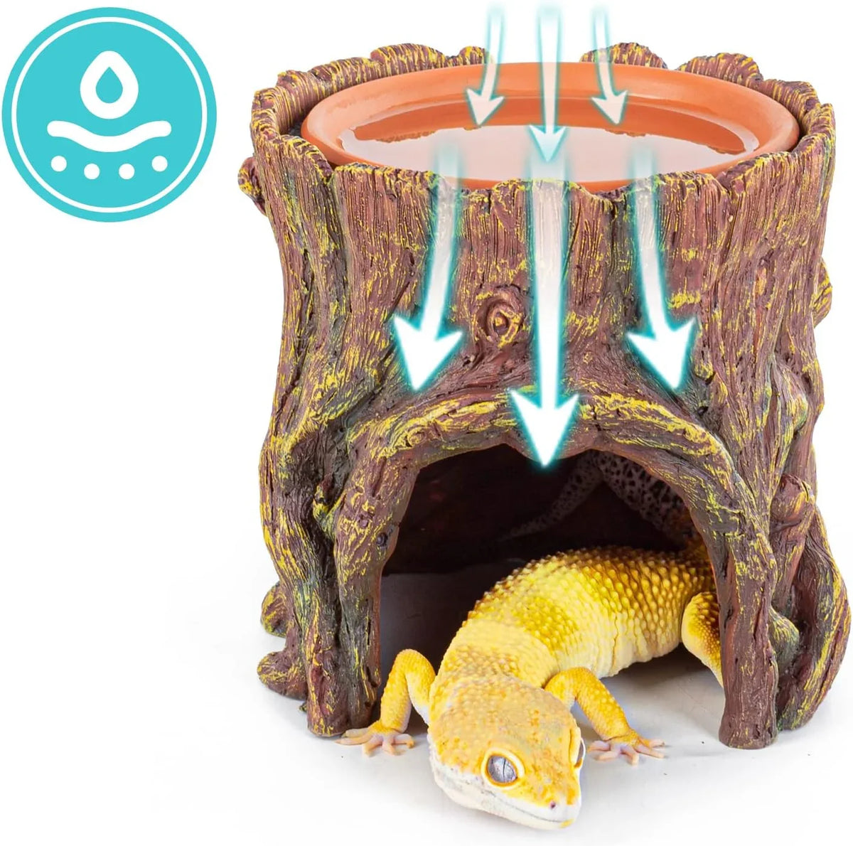 Reptile water dish and hideout log decoration with yellow gecko for terrarium habitat