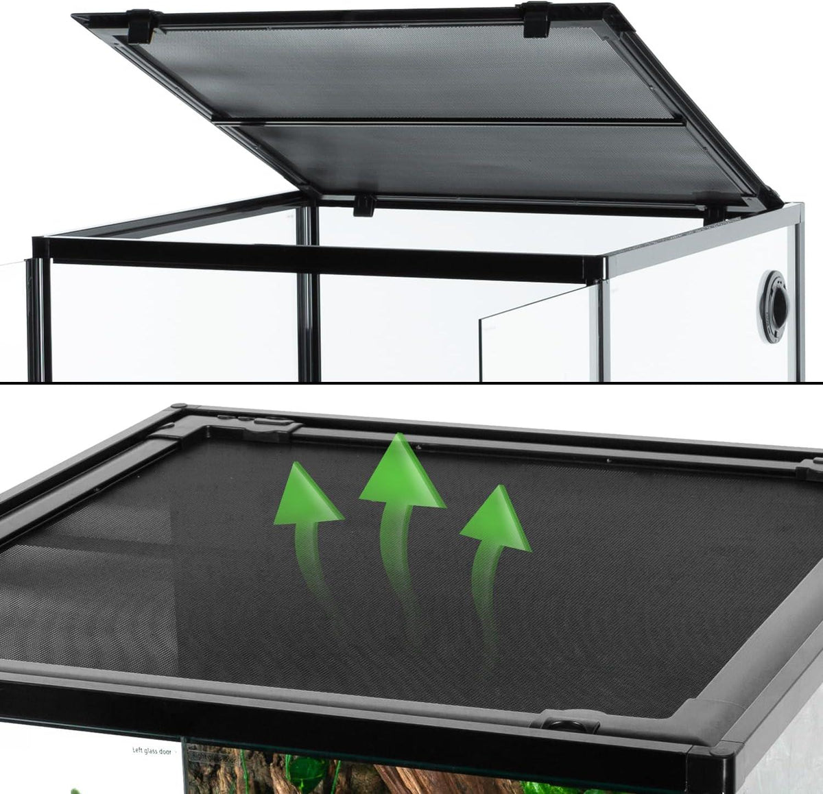 Glass reptile terrarium with mesh screen top for ventilation, ideal for reptiles and amphibians